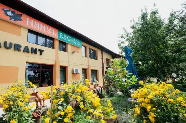 Hanul Bachus, județ Vrancea - Moldova