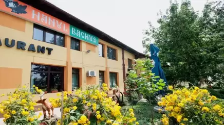 Hanul Bachus, județ Vrancea - Moldova