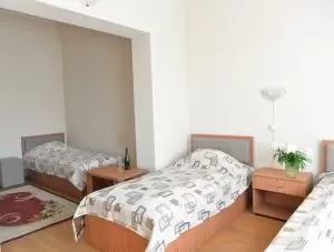 Cameră triplă Motel Vraja Viilor - Motel VRAJA VIILOR, județ Satu Mare - Maramureș