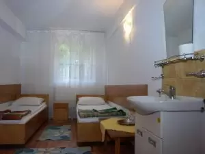 Cameră dublă - Cabana Codrii Pașcanilor - Cabana Codrii Pașcanilor, județ Iași - Moldova